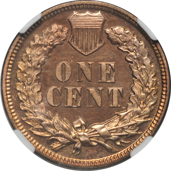 1895 NGC PR-63 RB