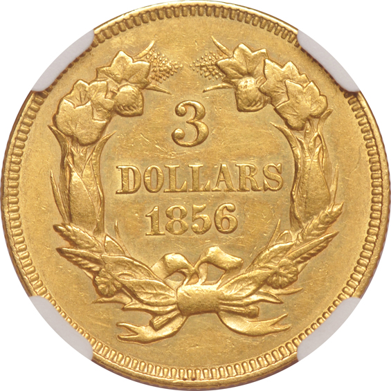 1856 NGC AU details/cleaned