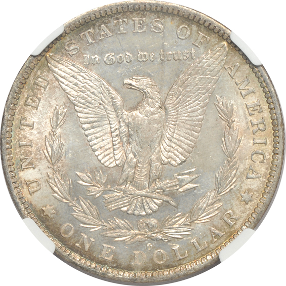 Thirteen Morgan silver dollars certified by NGC