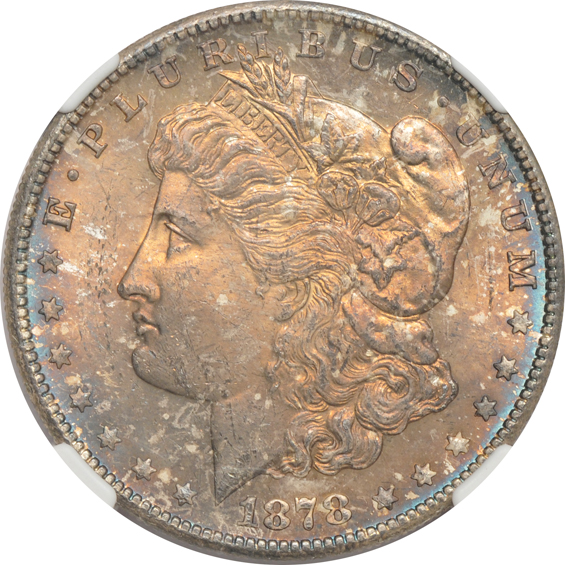 Seven Morgan silver dollars certified by NGC