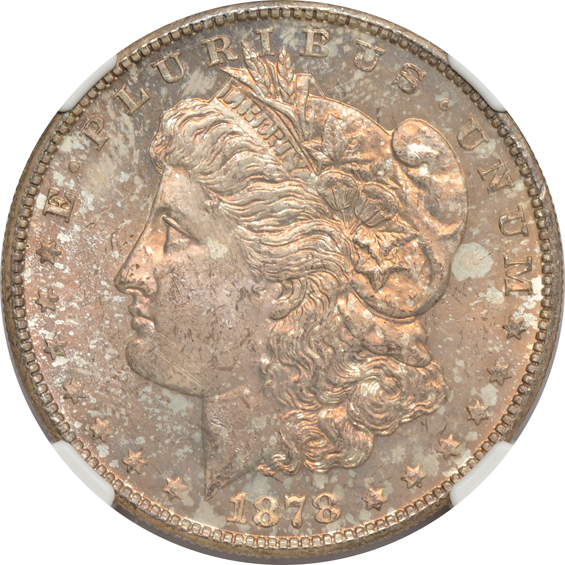 Seven Morgan silver dollars certified by NGC