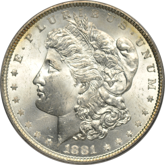 Seven Morgan silver dollars certified by ANACS
