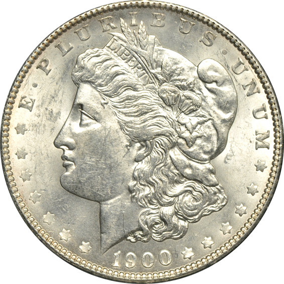 Twenty various silver dollar VAM varieties