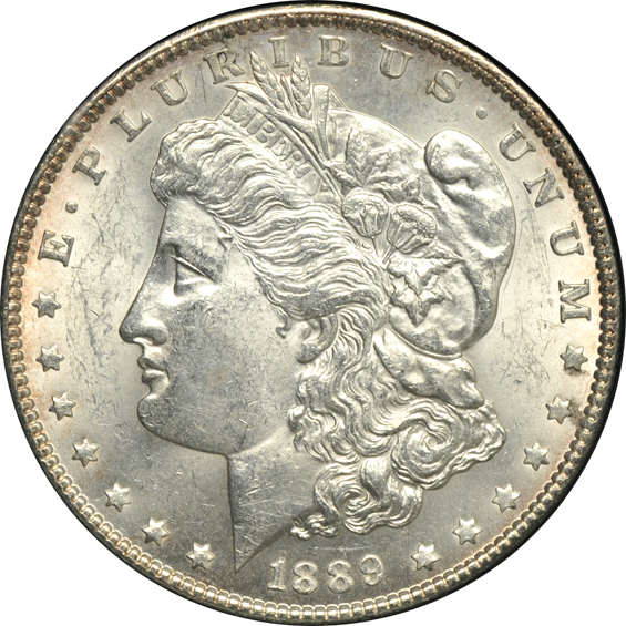 Twenty various silver dollar VAM varieties
