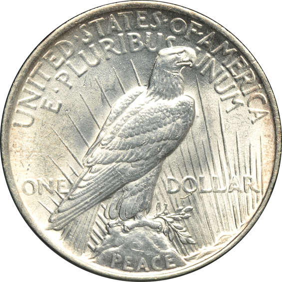 Twenty various silver dollar VAM varieties