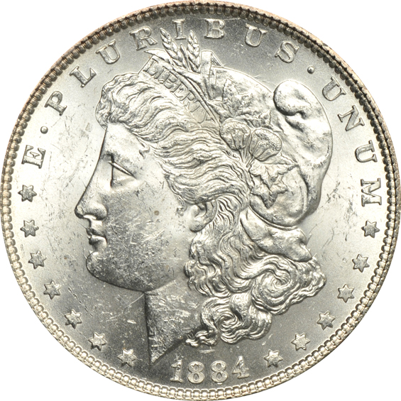 Twenty Morgan silver dollar VAM varieties