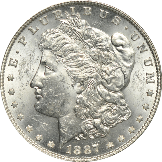 Twenty Morgan silver dollar VAM varieties