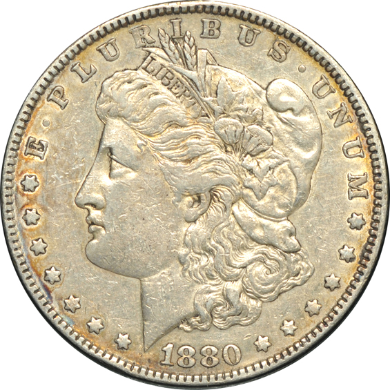 Twenty Morgan silver dollar VAM varieties