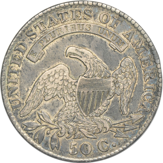 Eight Bust half-dollars