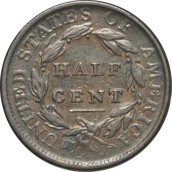 Fourteen Classic Head half cents