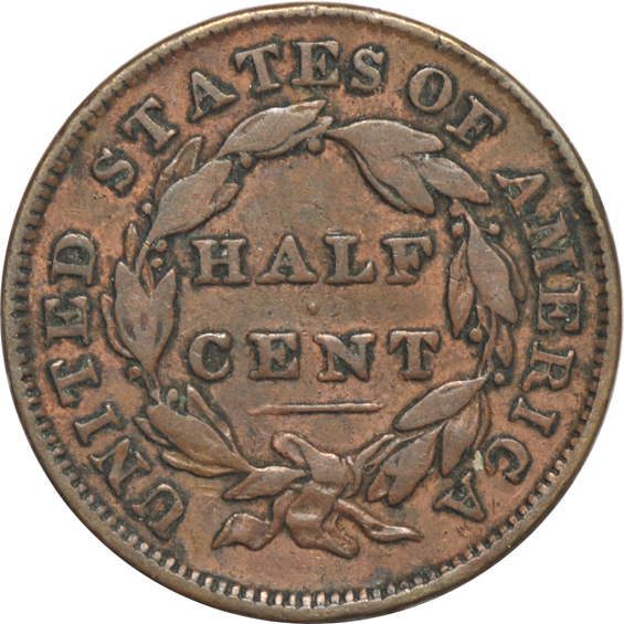 Fourteen Classic Head half cents