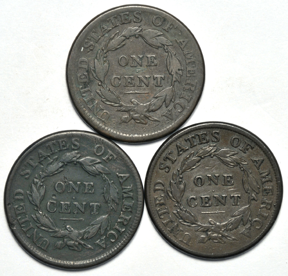Seven Classic Head large cents