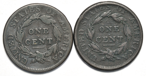 Seven Classic Head large cents