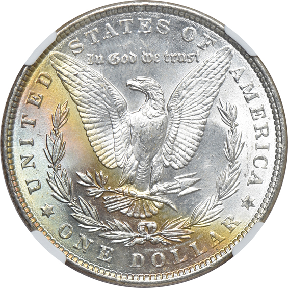 Three 1886 MS-63, MS-64 Star, and MS-65, all NGC CAC