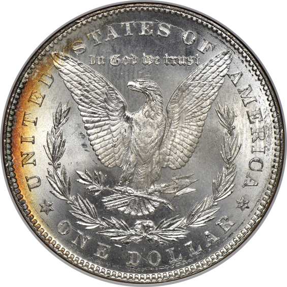Seven certified Morgan silver dollars