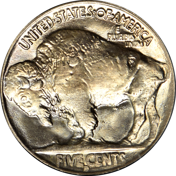 Collection of 65 Buffalo nickels in a Capital Plastics holder
