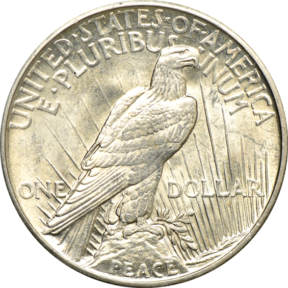 Collection of 22 different Peace dollars in a Capital Plastics holder
