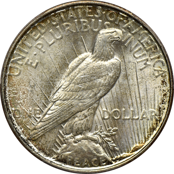 Two 1934-D PCGS MS-64+