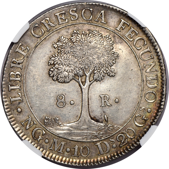 Multiple - 1795-TB Switzerland 12F, 1815-PTS FL Argentina 8S, and an 1835-NG M Central American Republic 8R, as described