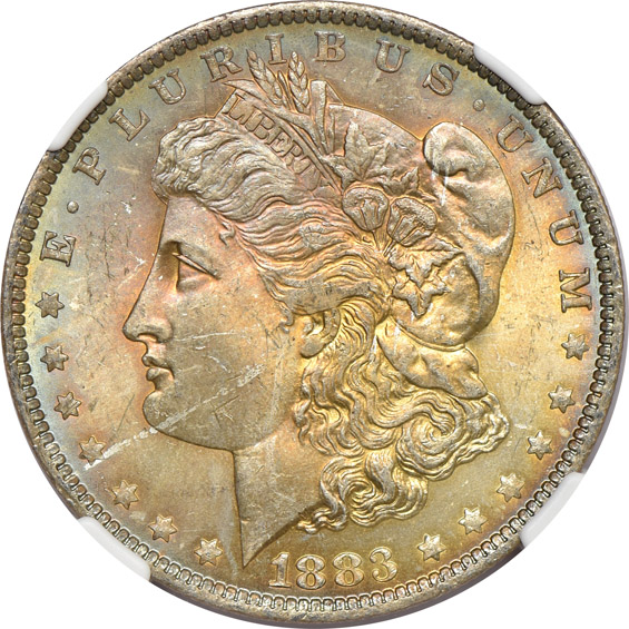 Fourteen toned Morgan silver dollars certified MS-64 by NGC