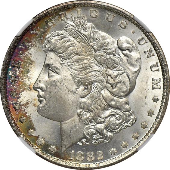 Fourteen toned Morgan silver dollars certified MS-64 by NGC