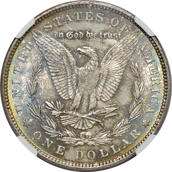 Eleven toned Morgan dollars, plus two toned Peace dollars, all thirteen NGC MS-63