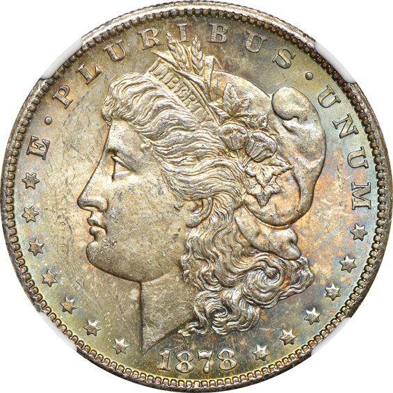 Eleven toned Morgan dollars, plus two toned Peace dollars, all thirteen NGC MS-63