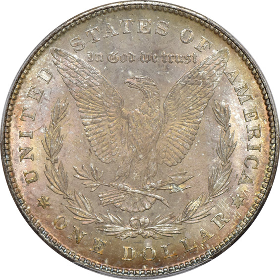 Six different Morgan dollars certified by PCGS