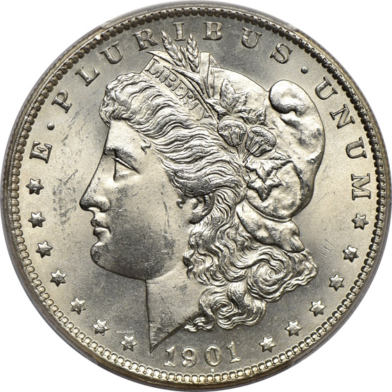 Four popular date Morgan dollars, all PCGS details