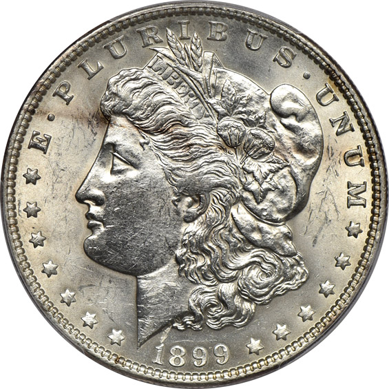 Four popular date Morgan dollars, all PCGS details