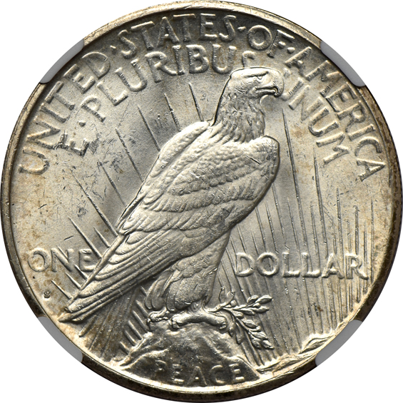 1924-S NGC MS-64+ CAC