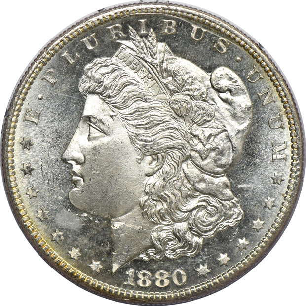 Six Morgan silver dollars, all PCGS MS-64 (rattlers)