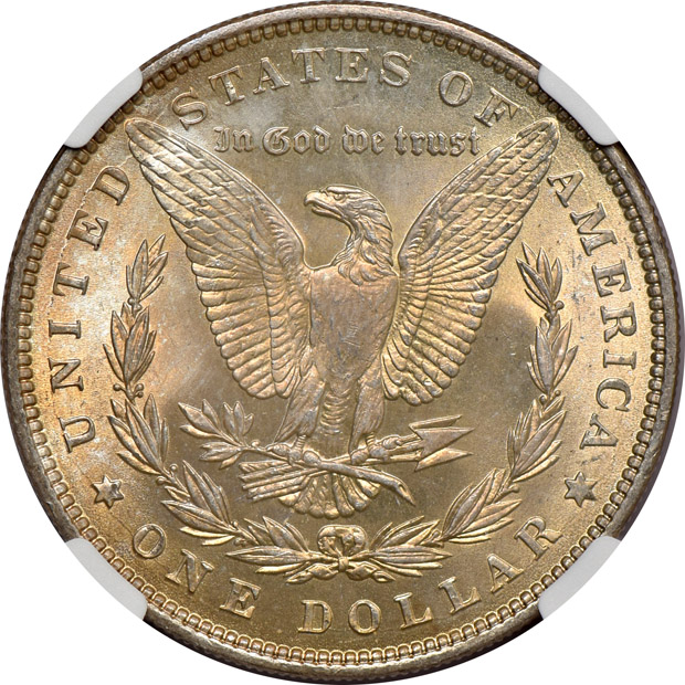 Five Morgan silver dollars certified MS-65 by NGC