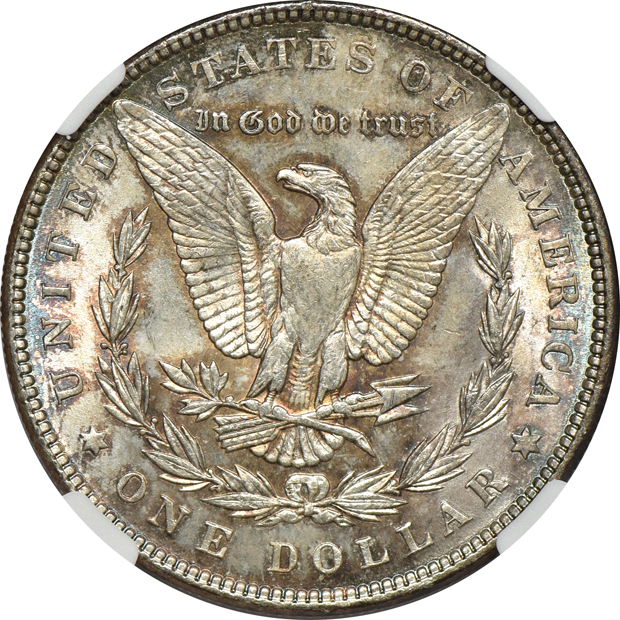 Twelve Uncirculated Morgan dollars, plus an Uncirculated 1924 Peace dollar, all NGC