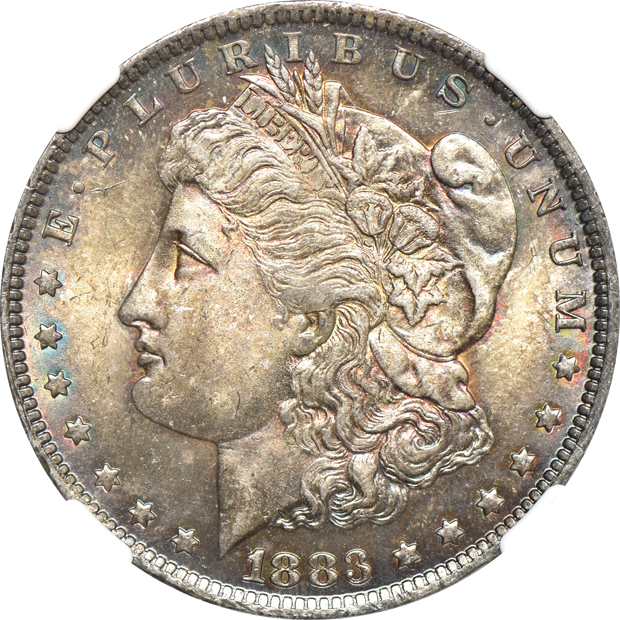 Twelve Uncirculated Morgan dollars, plus an Uncirculated 1924 Peace dollar, all NGC