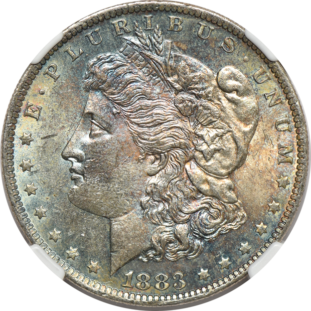 Twelve Uncirculated Morgan dollars, plus an Uncirculated 1924 Peace dollar, all NGC