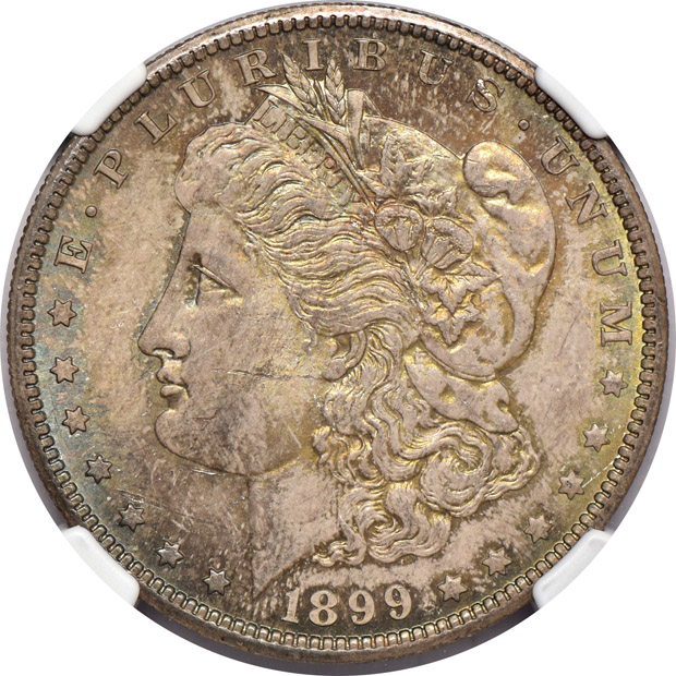 Six toned Morgan silver dollars, all NGC MS-64