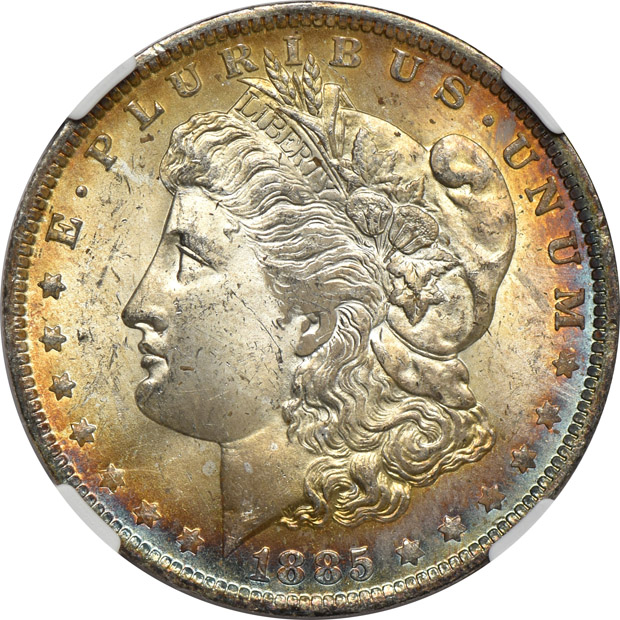 Six toned Morgan silver dollars, all NGC MS-64