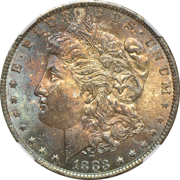 Six toned Morgan silver dollars, all NGC MS-64
