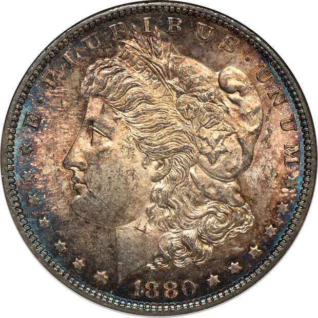 Six toned Morgan silver dollars, all NGC MS-64