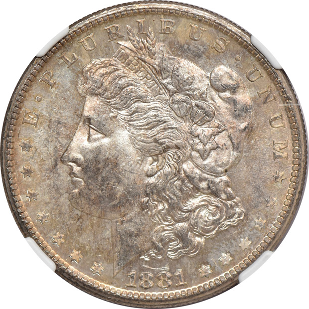 Six toned Morgan silver dollars, all NGC MS-64