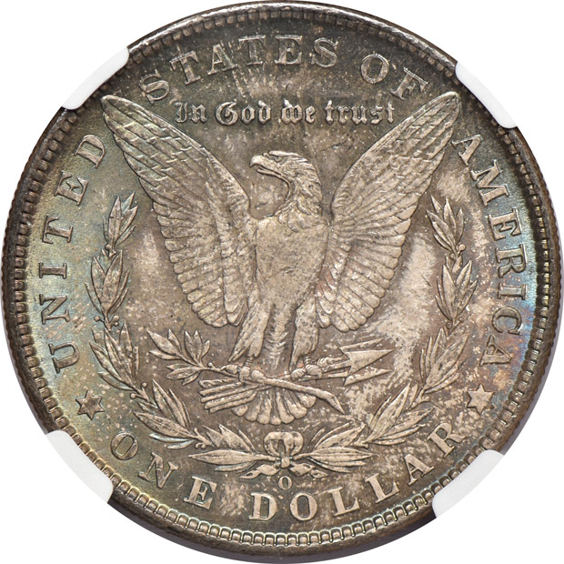 Five NGC certified Morgan silver dollars, all NGC CAC