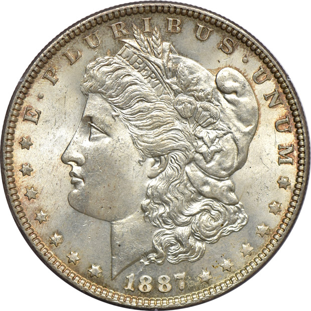 Eight Morgan silver dollars, all PCGS (rattler) CAC