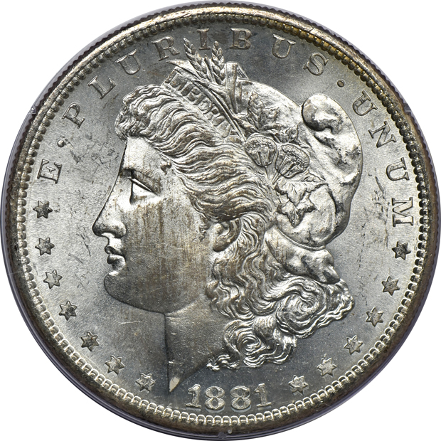 Five Morgan silver dollars certified by PCGS.  Four rattler, one green label, as described