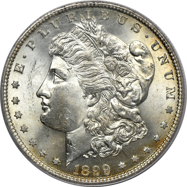 Five Morgan silver dollars certified by PCGS.  Four rattler, one green label, as described