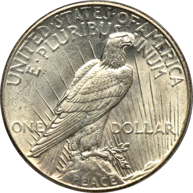1921 Peace, High Relief NGC MS-63 CAC, 1927 NGC MS-64, and a 1928 PCGS MS-62 CAC