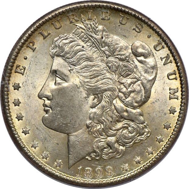 Fifteen Morgan silver dollars certified by PCGS, plus five Peace silver dollars certified by NGC