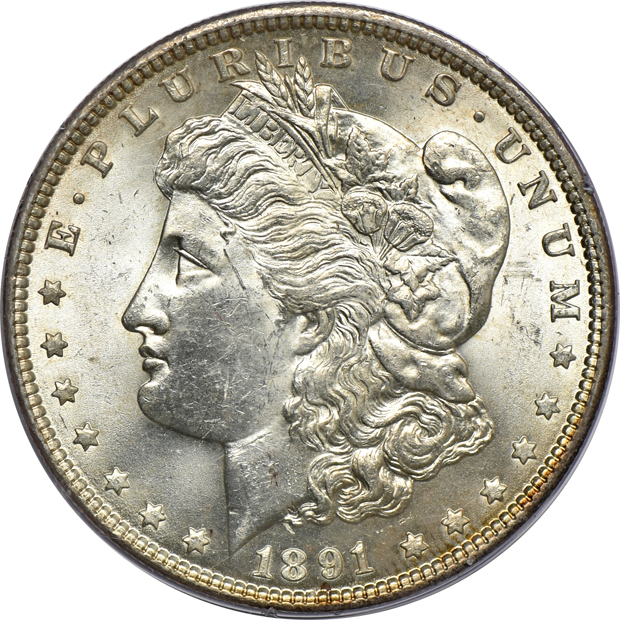 Fifteen Morgan silver dollars certified by PCGS, plus five Peace silver dollars certified by NGC