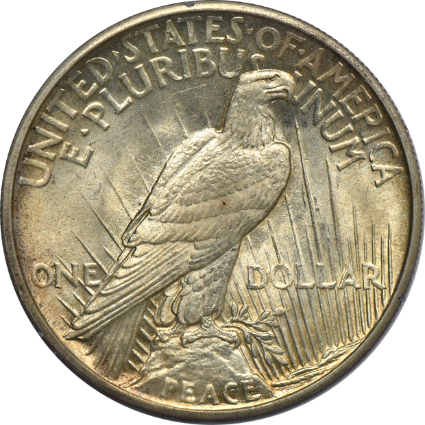 1921 Peace, High Relief PCGS MS-64 (rattler)