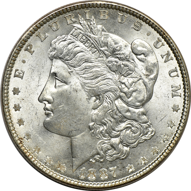 Five Morgan silver dollars